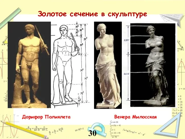 Золотое сечение в скульптуре Венера Милосская Дорифор Поликлета 30