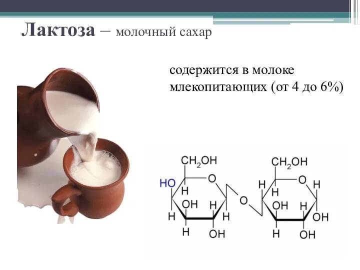 Лактоза – молочный сахар содержится в молоке млекопитающих (от 4 до 6%)