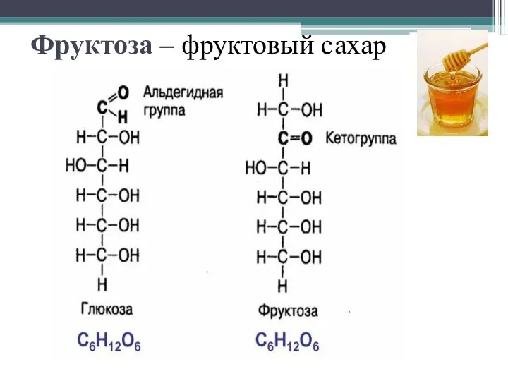 Фруктоза – фруктовый сахар