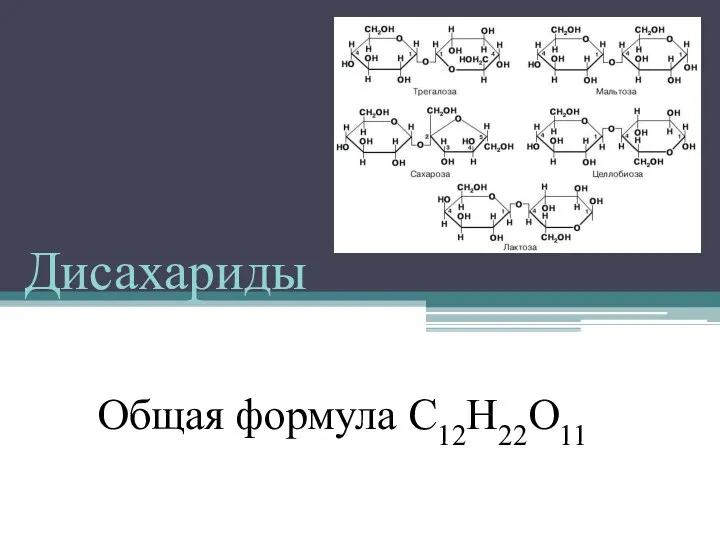 Дисахариды Общая формула С12Н22О11