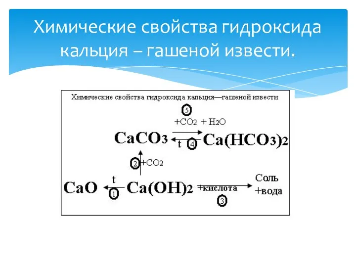 Химические свойства гидроксида кальция – гашеной извести.