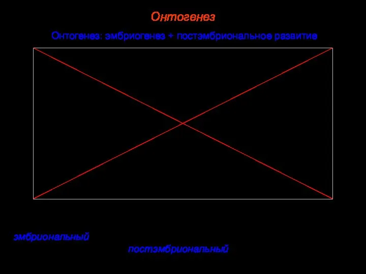 Онтогенез Онтогенез: эмбриогенез + постэмбриональное развитие Онтогенез — делят на определенные периоды