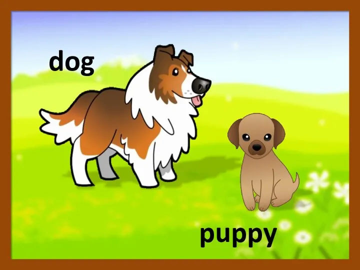 puppy dog