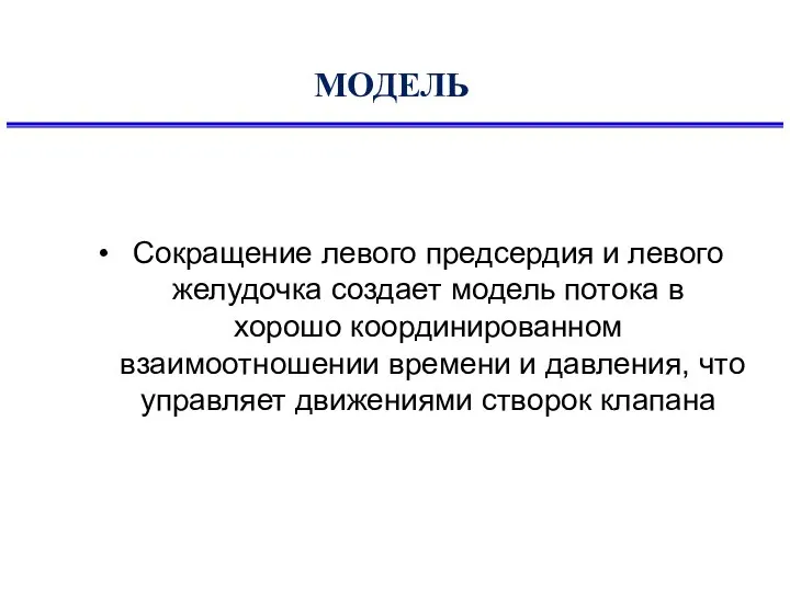 МОДЕЛЬ Сокращение левого предсердия и левого желудочка создает модель потока в хорошо