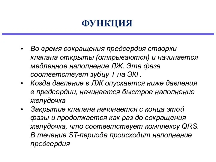 ФУНКЦИЯ Во время сокращения предсердия створки клапана открыты (открываются) и начинается медленное