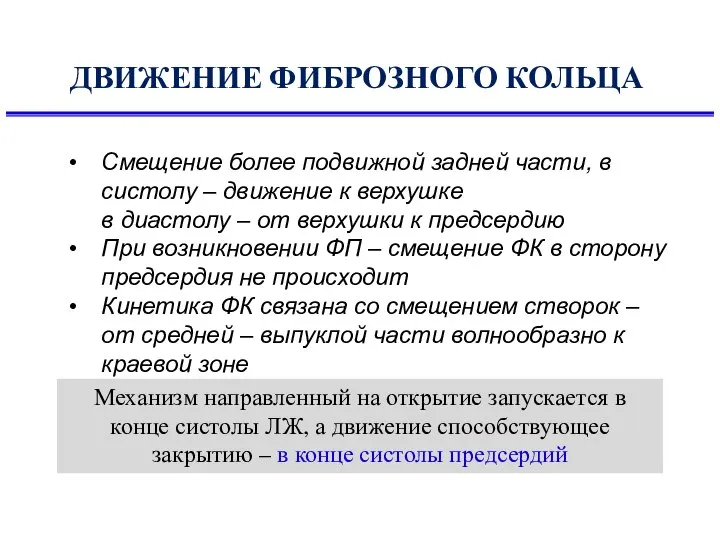 ДВИЖЕНИЕ ФИБРОЗНОГО КОЛЬЦА Смещение более подвижной задней части, в систолу – движение