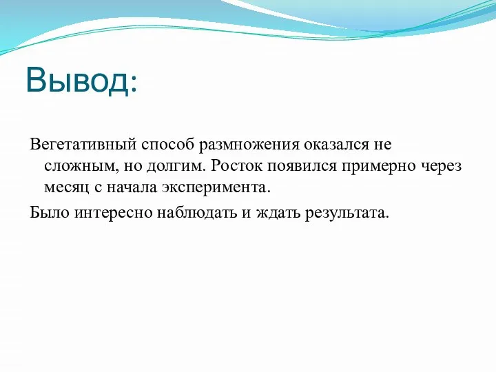 Вывод: Вегетативный способ размножения оказался не сложным, но долгим. Росток появился примерно