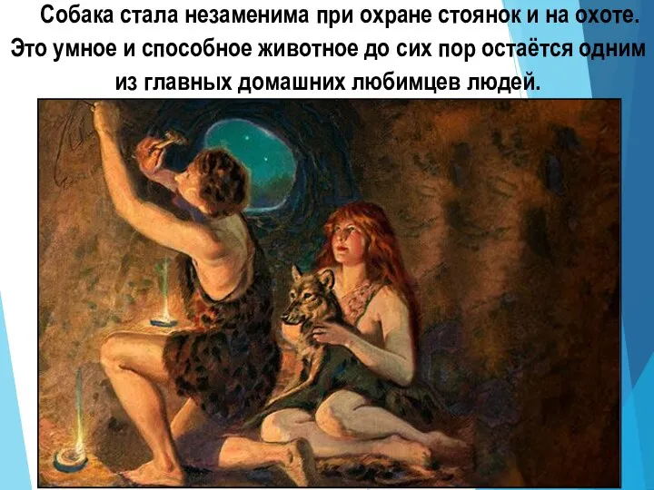 Собака стала незаменима при охране стоянок и на охоте. Это умное и