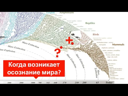 ? + Когда возникает осознание мира?