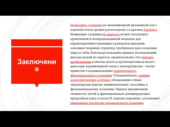 Заключение Появление сознания на эволюционной временной оси с научной точки зрения рассмотрено