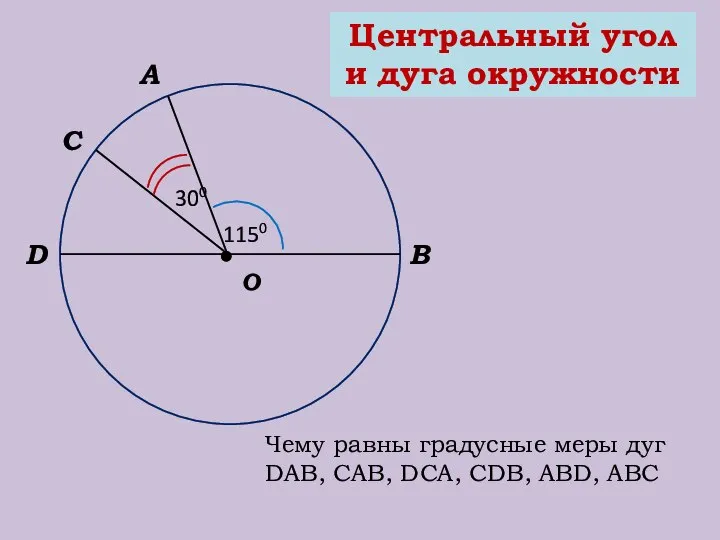 Центральный угол и дуга окружности О В А 300 С D 1150