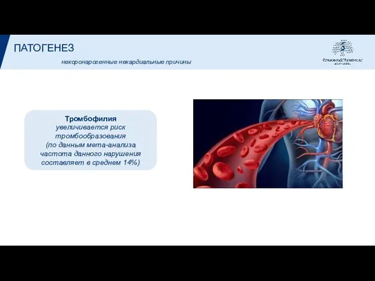 ПАТОГЕНЕЗ Тромбофилия увеличивается риск тромбообразования (по данным мета-анализа частота данного нарушения составляет