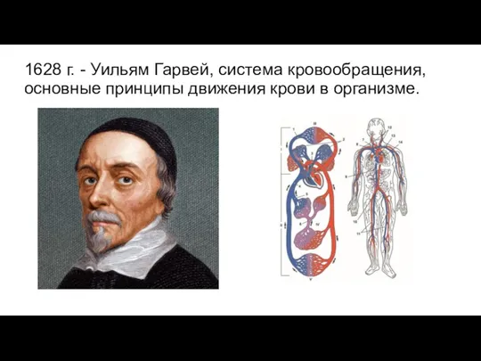 1628 г. - Уильям Гарвей, система кровообращения, основные принципы движения крови в организме.