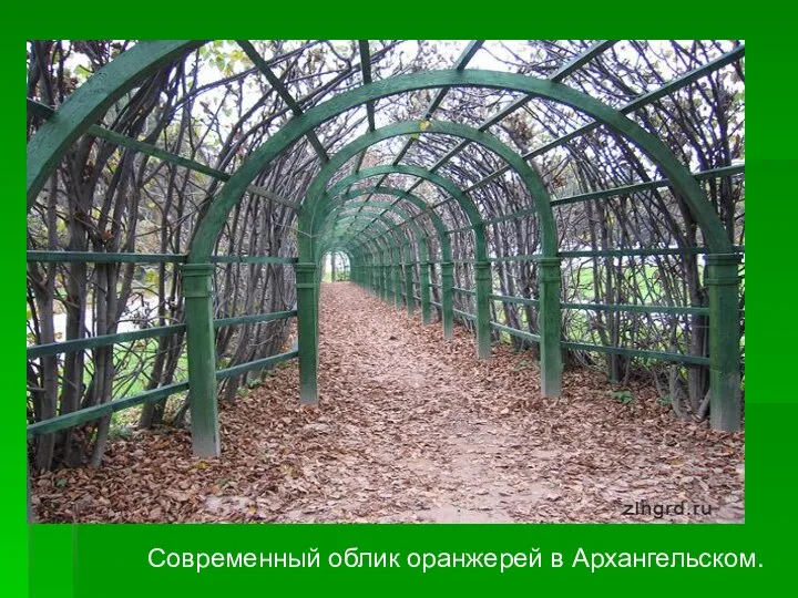 Современный облик оранжерей в Архангельском.