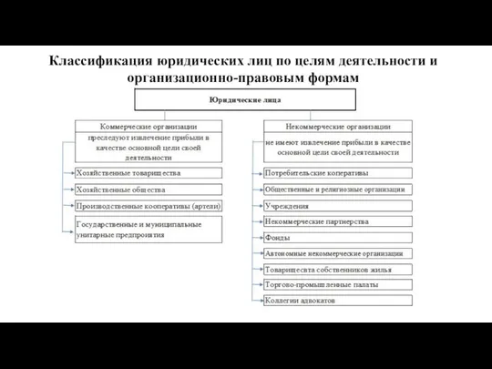 Классификация юридических лиц по целям деятельности и организационно-правовым формам