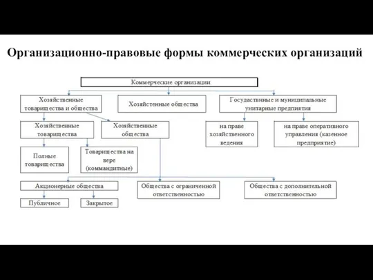 Организационно-правовые формы коммерческих организаций