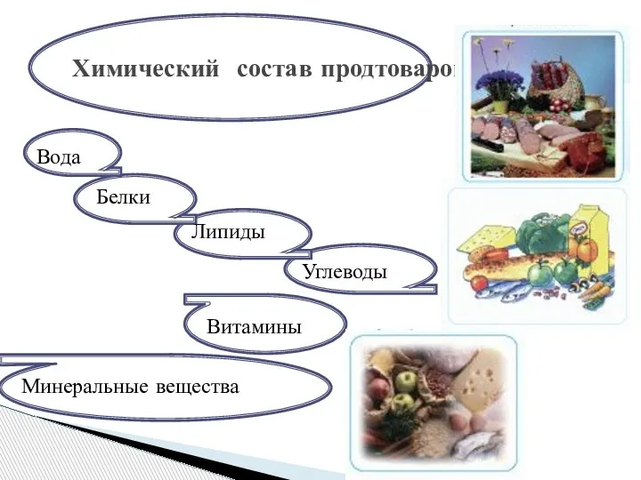 Химический состав продтоваров Вода Белки Липиды Углеводы Витамины Минеральные вещества