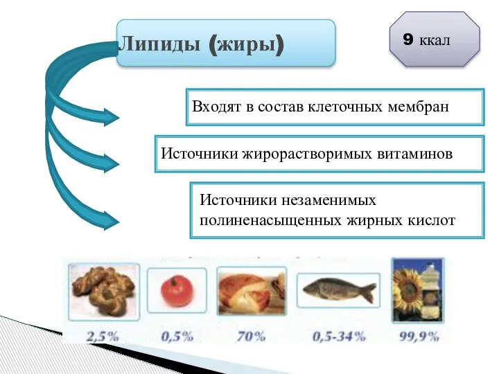 Липиды (жиры) Входят в состав клеточных мембран Источники жирорастворимых витаминов Источники незаменимых
