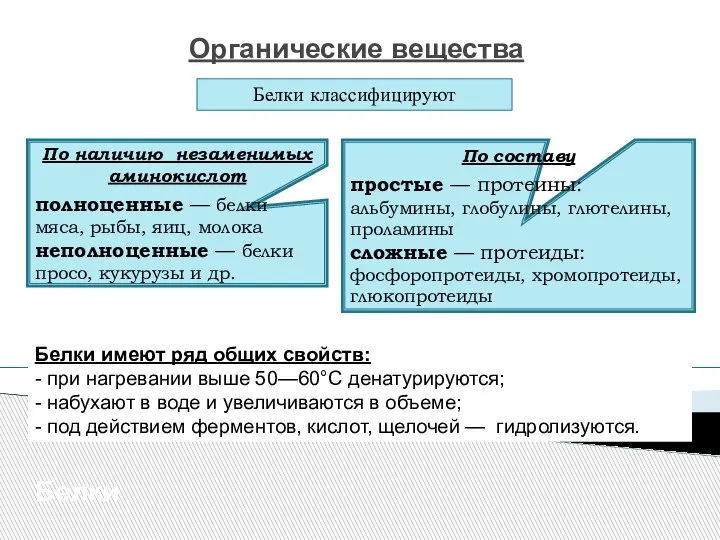 Органические вещества Белки Белки классифицируют По наличию незаменимых аминокислот полноценные — белки