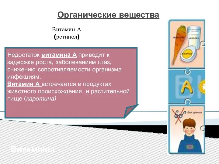 Органические вещества Витамины Витамин А (ретинол) Недостаток витамина А приводит к задержке