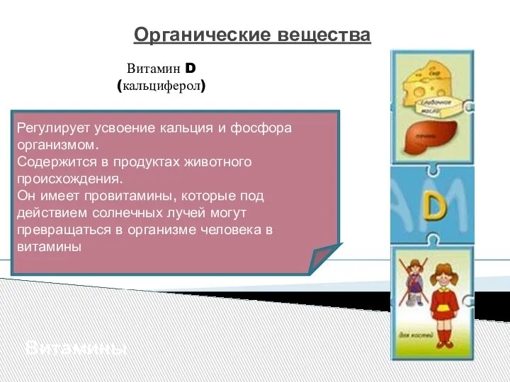 Органические вещества Витамины Витамин D (кальциферол) Регулирует усвоение кальция и фосфора организмом.