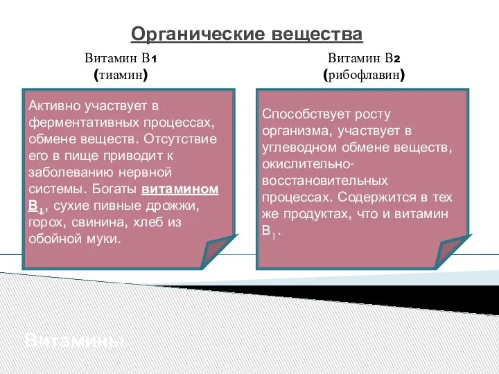 Органические вещества Витамины Витамин В1 (тиамин) Активно участвует в ферментативных процессах, обмене