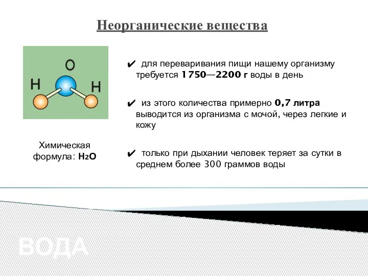 Неорганические вещества ВОДА Химическая формула: Н2О для переваривания пищи нашему организму требуется