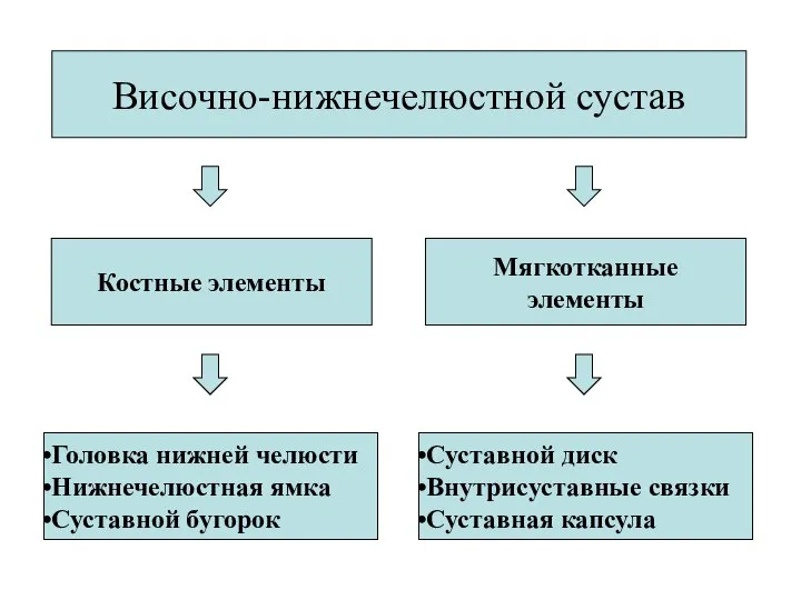 Височно-нижнечелюстной сустав Мягкотканные элементы Костные элементы Головка нижней челюсти Нижнечелюстная ямка Суставной