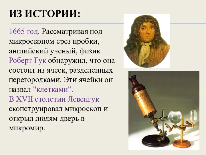 1665 год. Рассматривая под микроскопом срез пробки, английский ученый, физик Роберт Гук