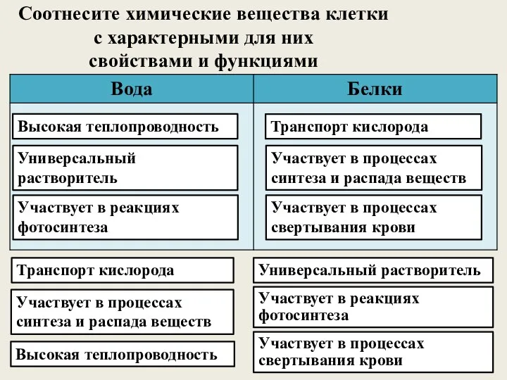 Соотнесите химические вещества клетки с характерными для них свойствами и функциями Универсальный