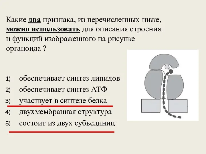 Какие два признака, из перечисленных ниже, можно использовать для описания строения и