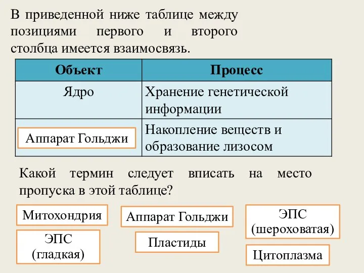 В приведенной ниже таблице между позициями первого и второго столбца имеется взаимосвязь.