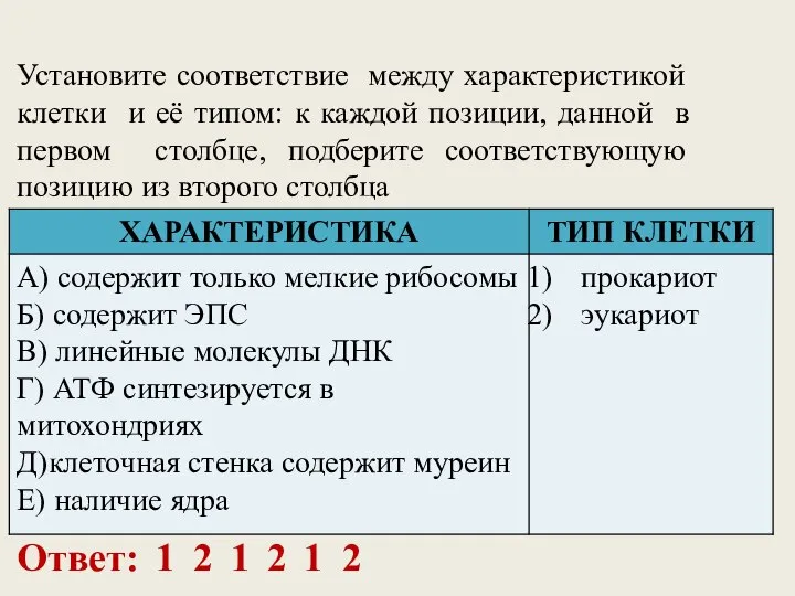 Установите соответствие между характеристикой клетки и её типом: к каждой позиции, данной