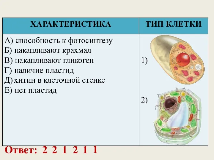 Ответ: 2 2 1 2 1 1