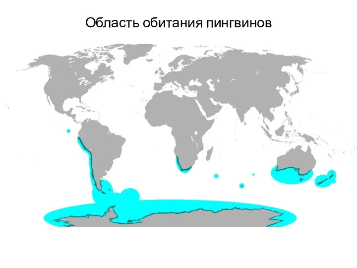 Область обитания пингвинов