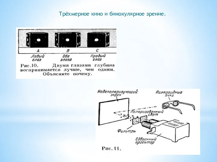 Трёхмерное кино и бинокулярное зрение.