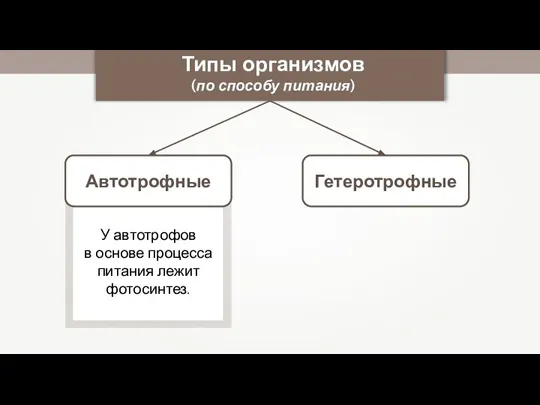 Типы организмов (по способу питания) Гетеротрофные У автотрофов в основе процесса питания лежит фотосинтез. Автотрофные