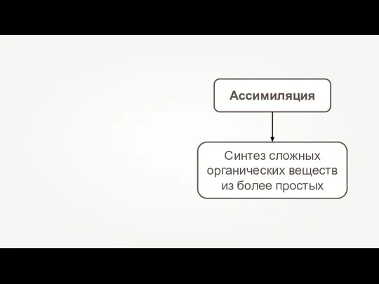 Ассимиляция Синтез сложных органических веществ из более простых