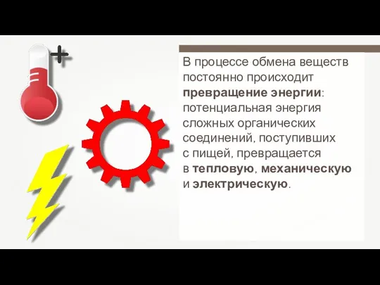 В процессе обмена веществ постоянно происходит превращение энергии: потенциальная энергия сложных органических