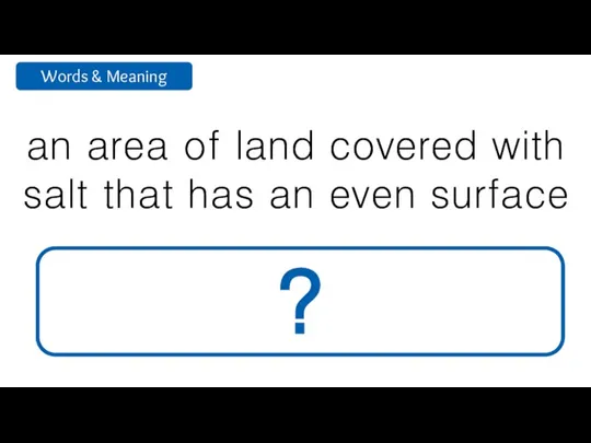 an area of land covered with salt that has an even surface salt flat ?