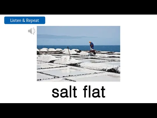 salt flat