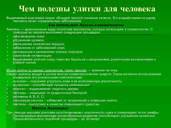 Чем полезны улитки для человека Выделяемый ахатинами секрет обладает массой полезных качеств.