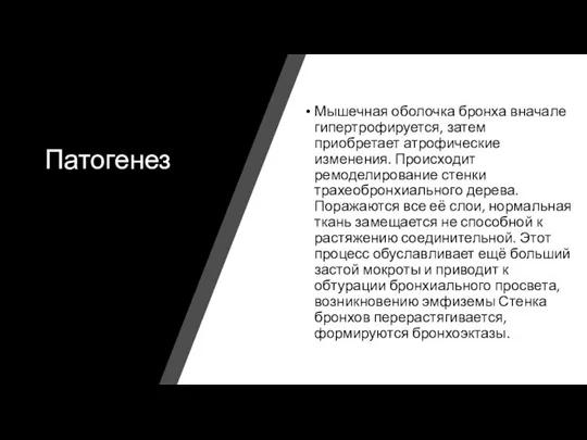 Патогенез Мышечная оболочка бронха вначале гипертрофируется, затем приобретает атрофические изменения. Происходит ремоделирование