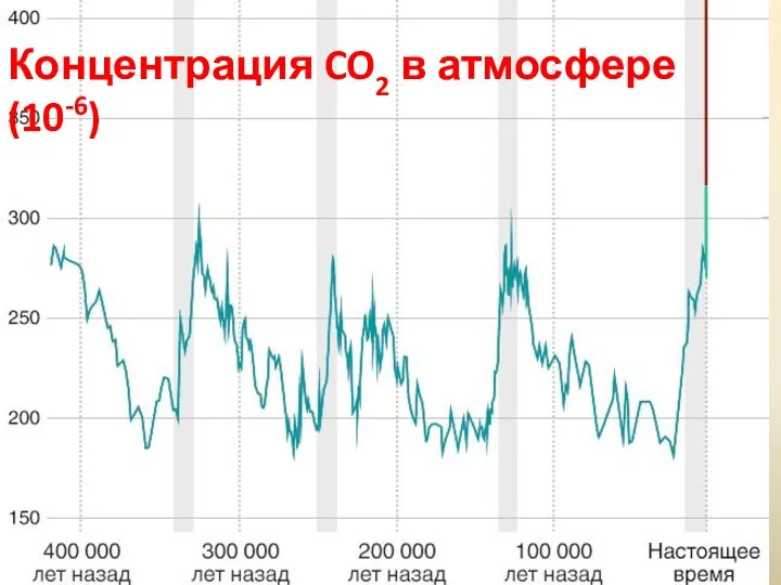 Концентрация CO2 в атмосфере (10-6)
