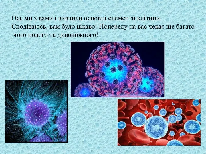 Ось ми з вами і вивчили основні елементи клітини. Сподіваюсь, вам було