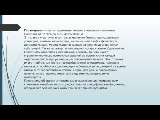 Гепатоциты — клетки паренхимы печени у человека и животных. Составляют от 60%