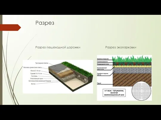 Разрез Разрез пешеходной дорожки Разрез экопарковки