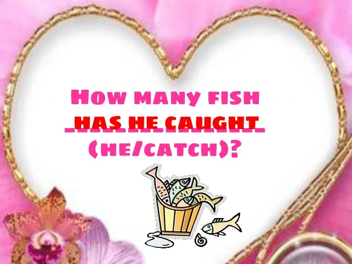 How many fish ________________ (he/catch)? has he caught