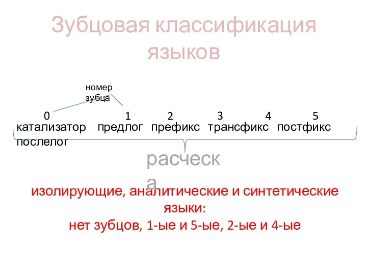 Зубцовая классификация языков 0 1 2 3 4 5 катализатор предлог префикс