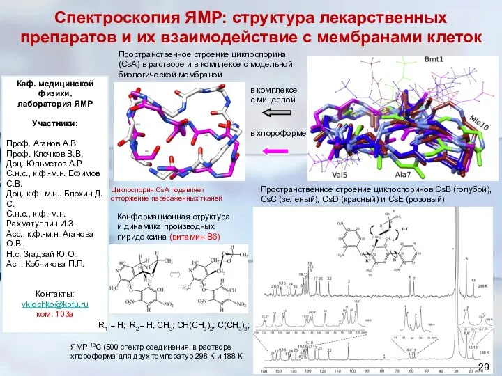 Спектроскопия ЯМР: структура лекарственных препаратов и их взаимодействие с мембранами клеток Каф.